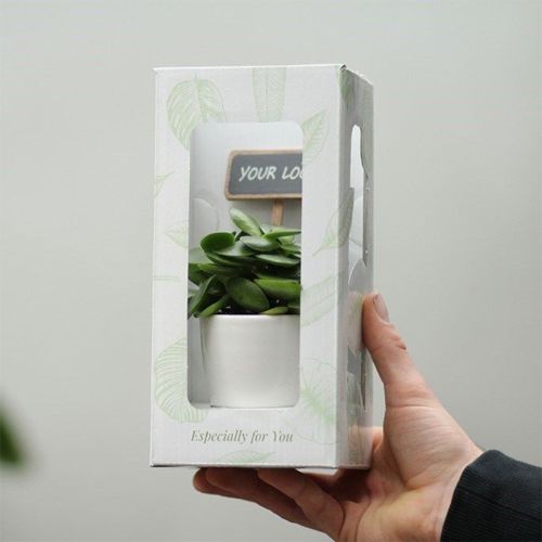 Mini plante - Billede 3